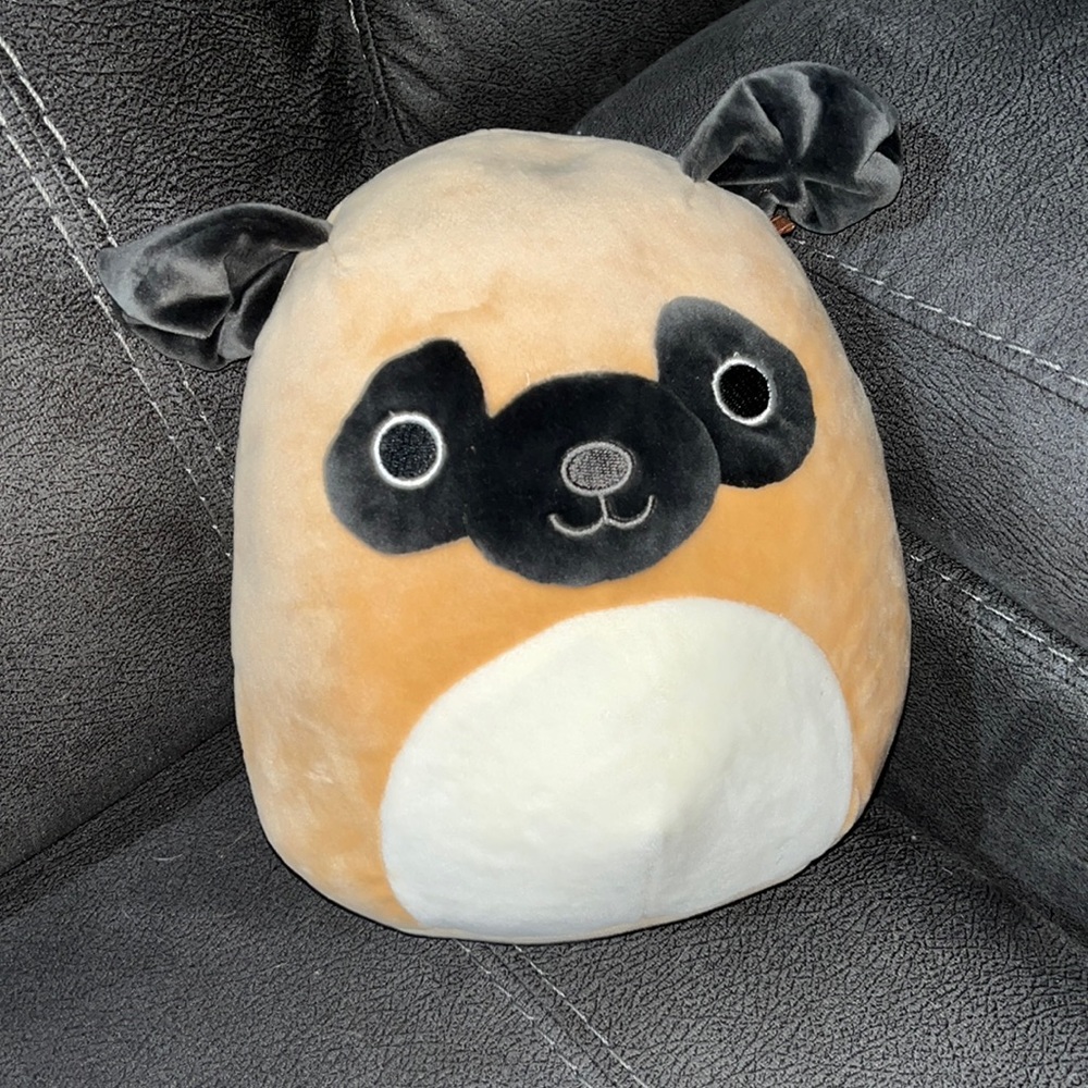 Squishmallows Official Kellytoy Plush 8" Pug Dog